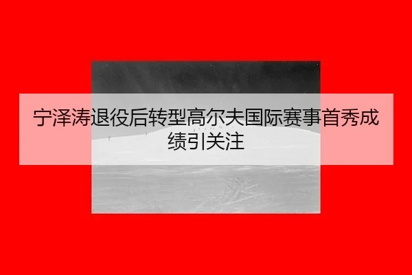 ning-ze-tao-tui-yi-hou-zhuan-xing-gao-er-fu-guo-ji-sai-shi-shou-xiu-cheng-ji-yin-guan-zhu-2-754.jpg