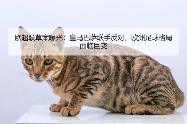 欧超联草案曝光：皇马巴萨联手反对，欧洲足球格局面临巨变