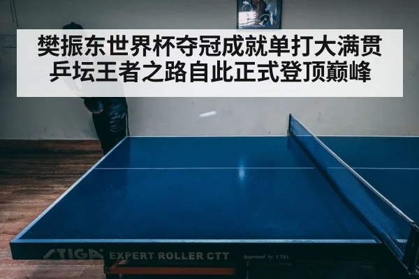 樊振东世界杯夺冠成就单打大满贯 乒坛王者之路自此正式登顶巅峰
