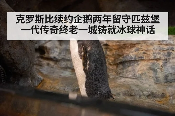克罗斯比续约企鹅两年留守匹兹堡 一代传奇终老一城铸就冰球神话