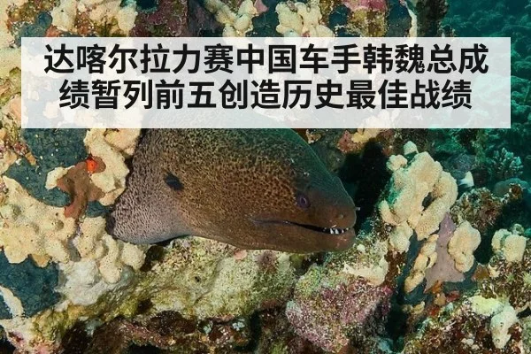达喀尔拉力赛中国车手韩魏总成绩暂列前五创造历史最佳战绩